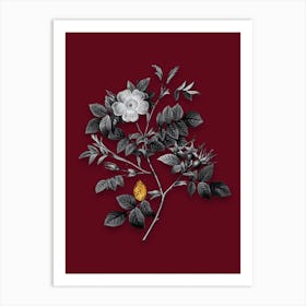 Vintage Malmedy Rose Black and White Gold Leaf Floral Art on Burgundy Red n.1055 Art Print