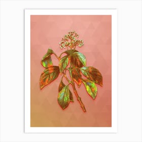 Vintage Climbing Hydrangea Botanical Art on Peach Pink n.1813 Art Print