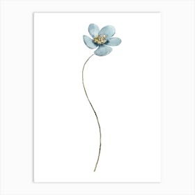 Blue Flower 8 Art Print