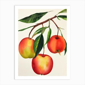 Star Apple Watercolour Fruit Painting Fruit Art Print