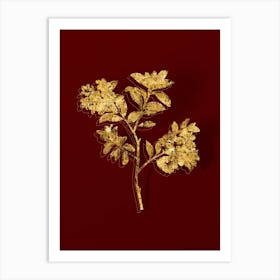 Vintage Hairy Alpenrose Botanical in Gold on Red Art Print
