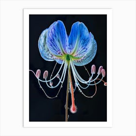 Blue Lily Art Print