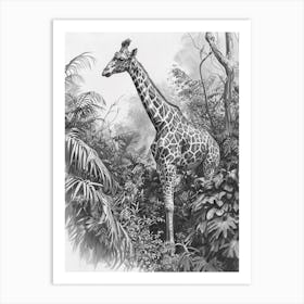 Pencil Portrait Of Giraffe In The Leaves 3 Art Print