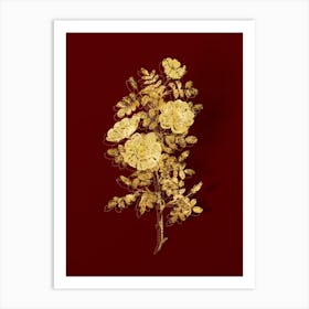 Vintage White Burnet Roses Botanical in Gold on Red 1 Art Print