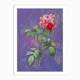 Vintage Seven Sisters Roses Botanical Illustration on Veri Peri n.0074 Art Print