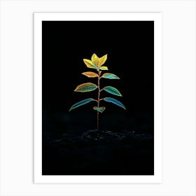 Tree Growing Out Of The Ground 8 Art Print