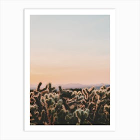 Cactus Sunset View Art Print