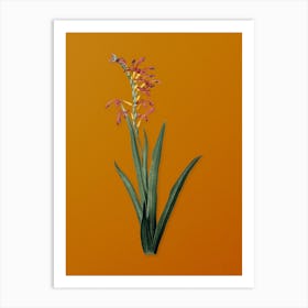 Vintage Antholyza Aethiopica Botanical on Sunset Orange n.0301 Art Print