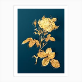 Vintage White Provence Rose Botanical in Gold on Teal Blue Art Print