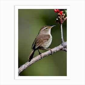 House Wren -Reimagined 18 Art Print