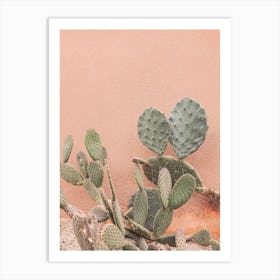 Stucco And Cactus Art Print
