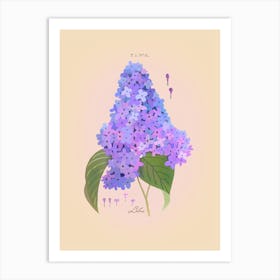 Lilac Botanical Art Print