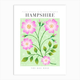 County Flower of Hampshire The Dog Rose Art Print