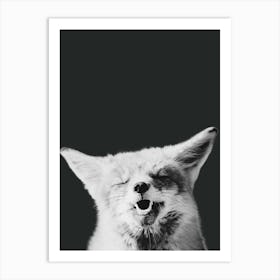 Black And White Fox Art Print