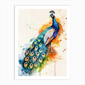 Peacock Watercolor Painting Art Print