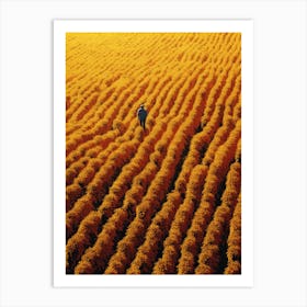 Sunflower Field 3 Art Print