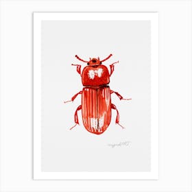 Uloma culinaris, a darkling beetle, watercolor artwork Art Print