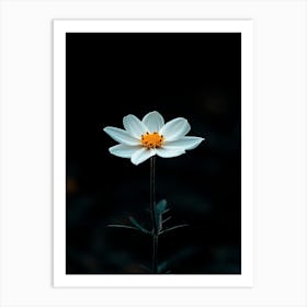 Single White Flower 2 Art Print