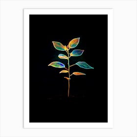 Plant On A Black Background 8 Art Print