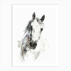 Horse Canvas Print 1 Art Print