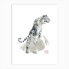 Tiger On The Rocks Art Print