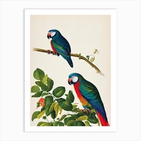 Parrot James Audubon Vintage Style Bird Art Print
