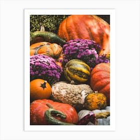 Pumpkin Harvest Fall Fruit Nature Art Print