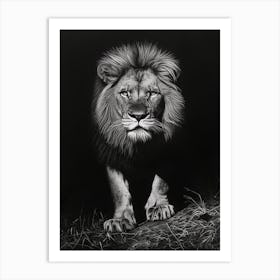 Barbary Lion Charcoal Drawing Night Hunt 3 Art Print