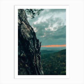 Sunset In The Forest Art Print