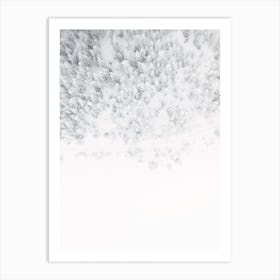 Aerial Winter Forest Art Print