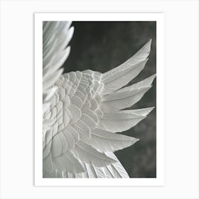 Poster Bw Wings 1 Art Print