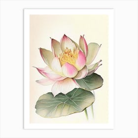 Early Lotus Watercolour Ink Pencil 2 Art Print