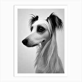 Chinese Crested B&W Pencil Dog Art Print