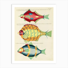 Colourful And Surreal Illustrations Of Fishes Found In Moluccas (Indonesia) And The East Indies, Louis Renard(3) Art Print