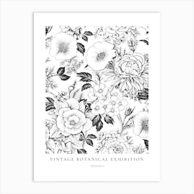 Veronica B&W Vintage Botanical Poster Art Print