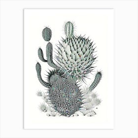 Stenocactus Cactus William Morris Inspired 3 Art Print