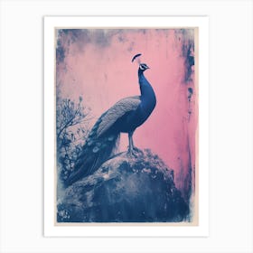 Blue & Pink Peacock Portrait 3 Art Print