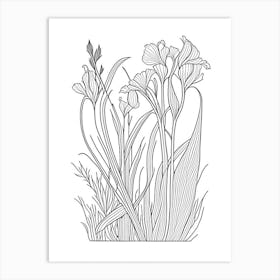 Orris Root Herb William Morris Inspired Line Drawing 2 Art Print