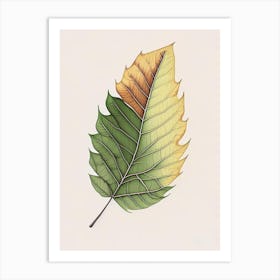 Ash Leaf Warm Tones Art Print