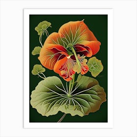 Nasturtium Herb Vintage Botanical Art Print