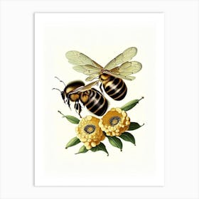 Wax Bees 3 Vintage Art Print