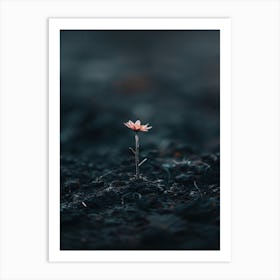 Single Flower In The Dark 90 Art Print