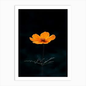 Single Flower 5 Art Print