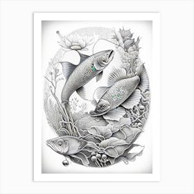 Gin Matsuba Koi Fish Haeckel Style Illustastration Art Print