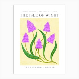 UK County Flowers Isle Of Wight Pyramidal Orchid Art Print