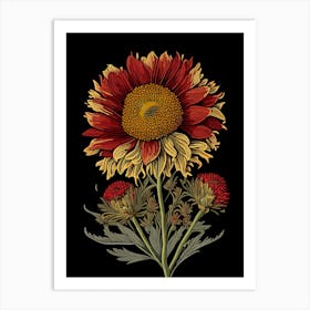 Blanket Flower Wildflower Vintage Botanical 1 Art Print