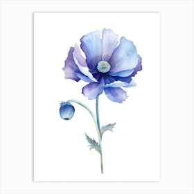 Watercolor Blue Poppy Art Print