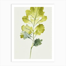 Wild Mustard Leaf Minimalist Watercolour 3 Art Print