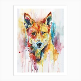 Dingo Colourful Watercolour 2 Art Print