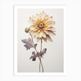 Pressed Flower Botanical Art Chrysanthemum 1 Art Print